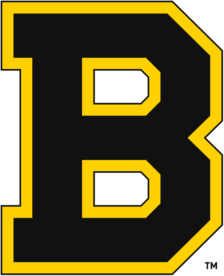 Boston Bruins 1934 35-1948 49 Primary Logo iron on paper